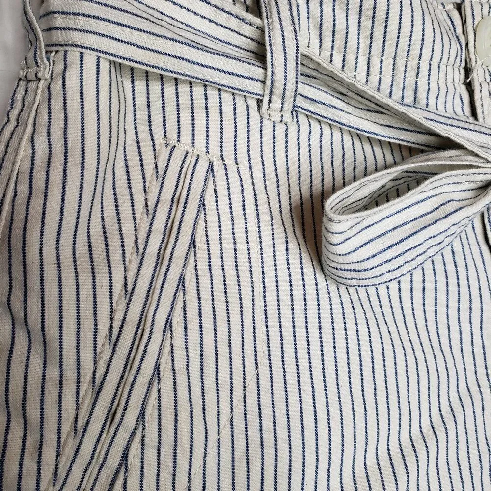 American Eagle Stripe‎ Belted Shorts